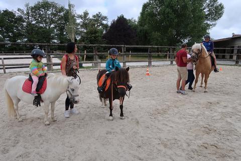 poney en famille activités enfant familyross vlog