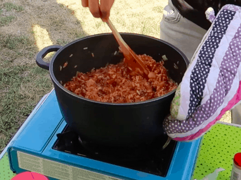 gratin dauphinois au bacon familyross vlog